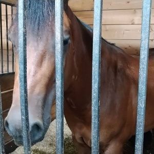 Meet your Posher, Mike